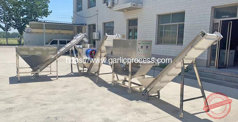Automatic-Garlic-Breaking-Peeling-Machine-for-Italy-Customer